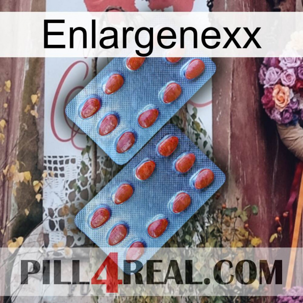 Enlargenexx 05